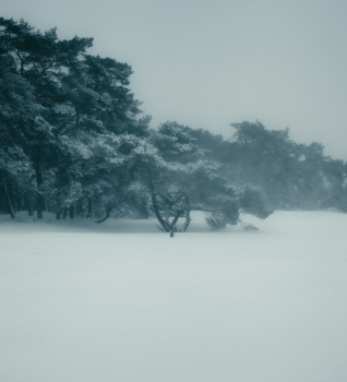 Winterkamperen op de Veluwe: dit moet je weten!
